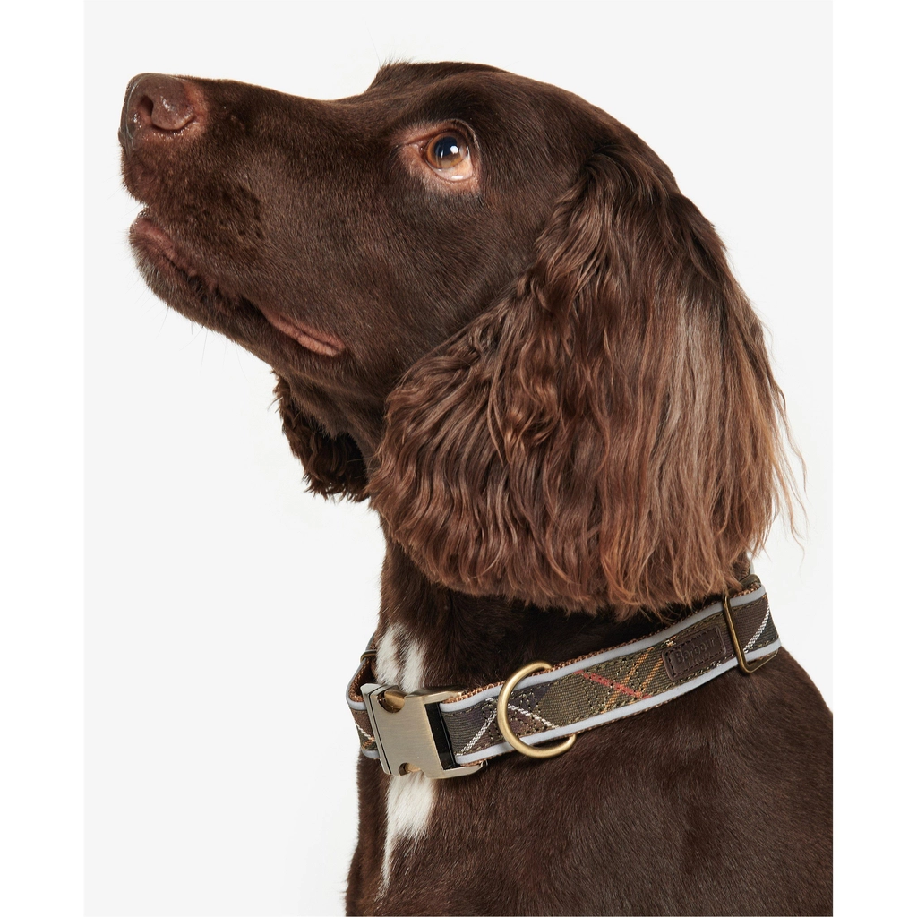 Barbour Reflective Tartan Dog Collar - Classic TN11