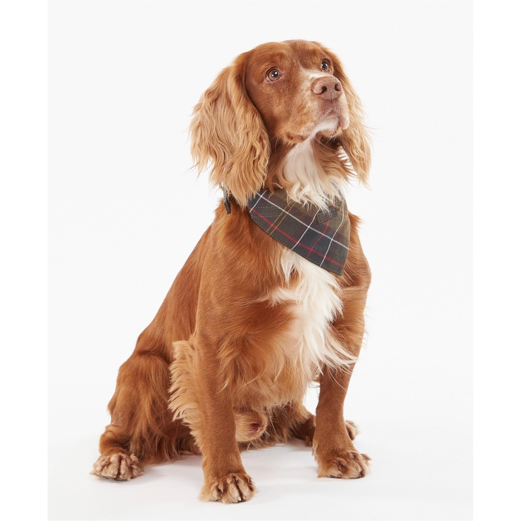 Barbour Tartan Bandana - Multi TN11