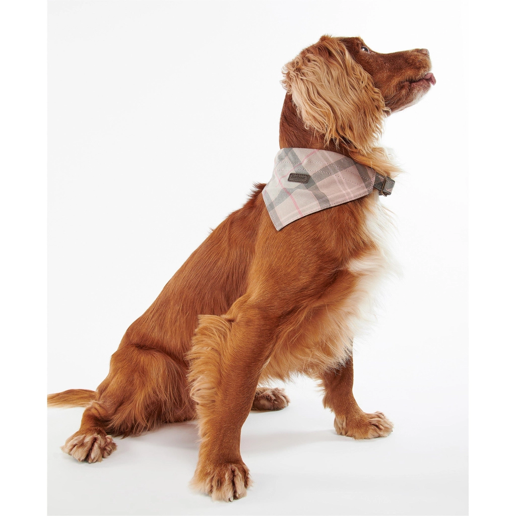 Barbour Tartan Bandana - Pink BE91