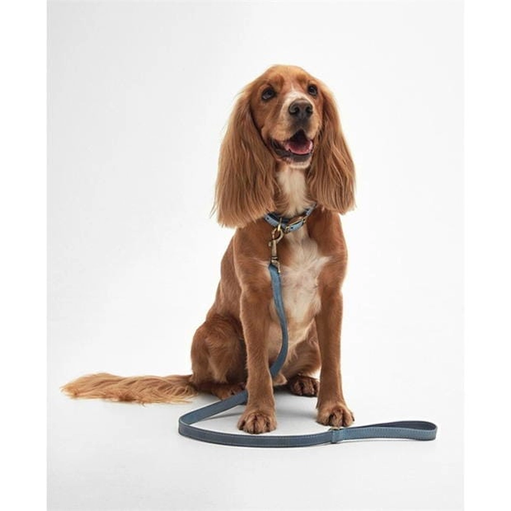 Barbour Leather Dog Lead - Blue