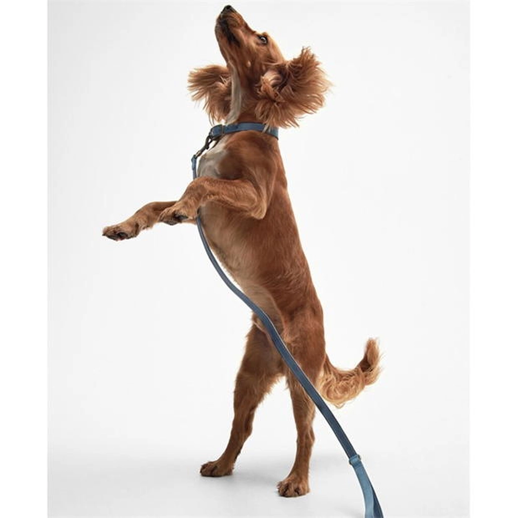 Barbour Leather Dog Lead - Blue