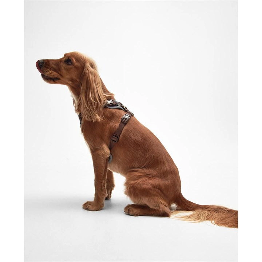 Barbour Adjustable Tartan Harness - Multi