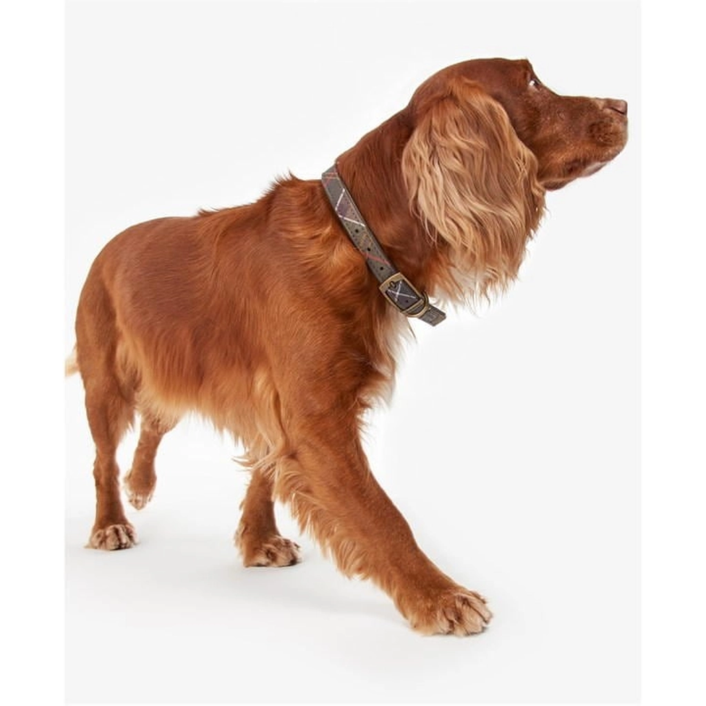 Barbour Tartan Dog Collar - Multi