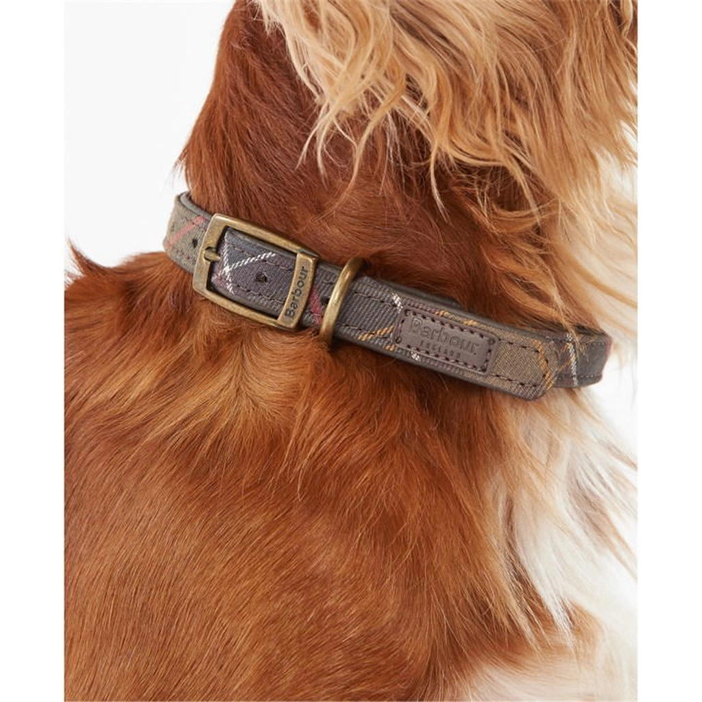 Barbour Tartan Dog Collar - Multi