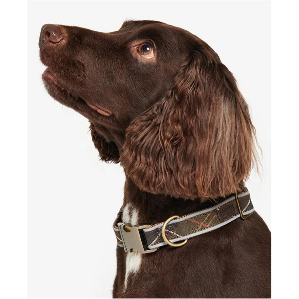 Barbour Classic Dog Collar with Metal Hardware - Multi