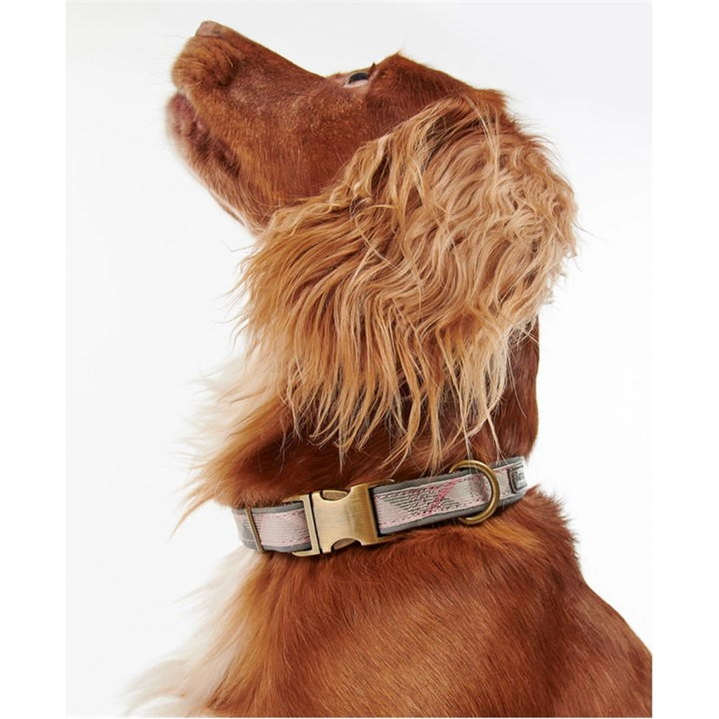 Barbour Classic Dog Collar with Metal Hardware - Pink