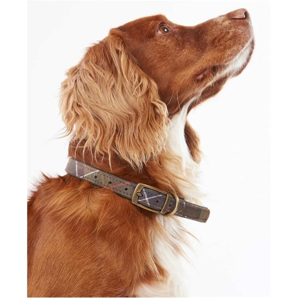 Barbour Tartan Dog Collar - Multi